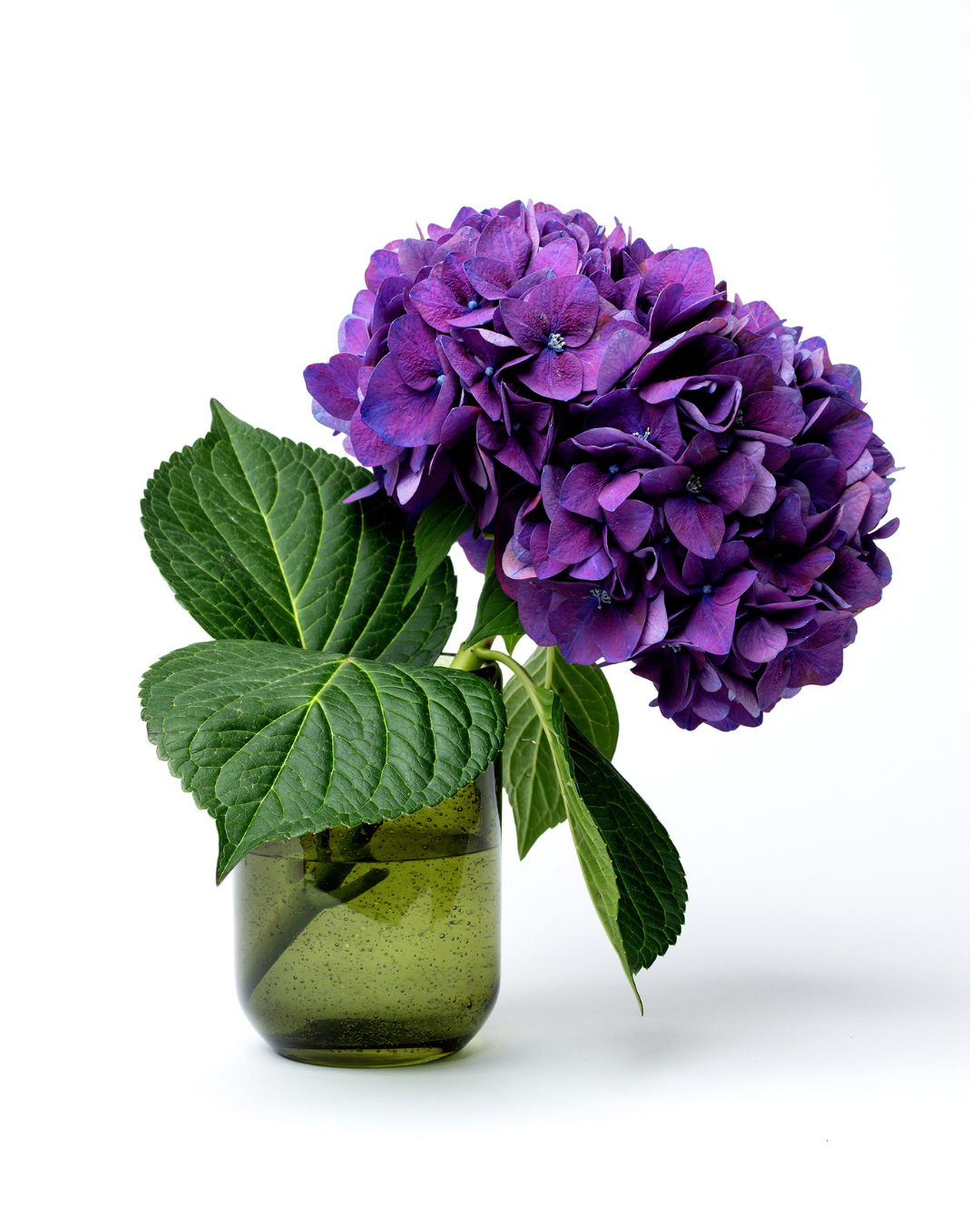 Bougie parfumée feuilles et baies de Cassis : Verdura Cassis