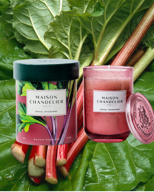 Le mois de mai mois de la Rhubarbe 🌱