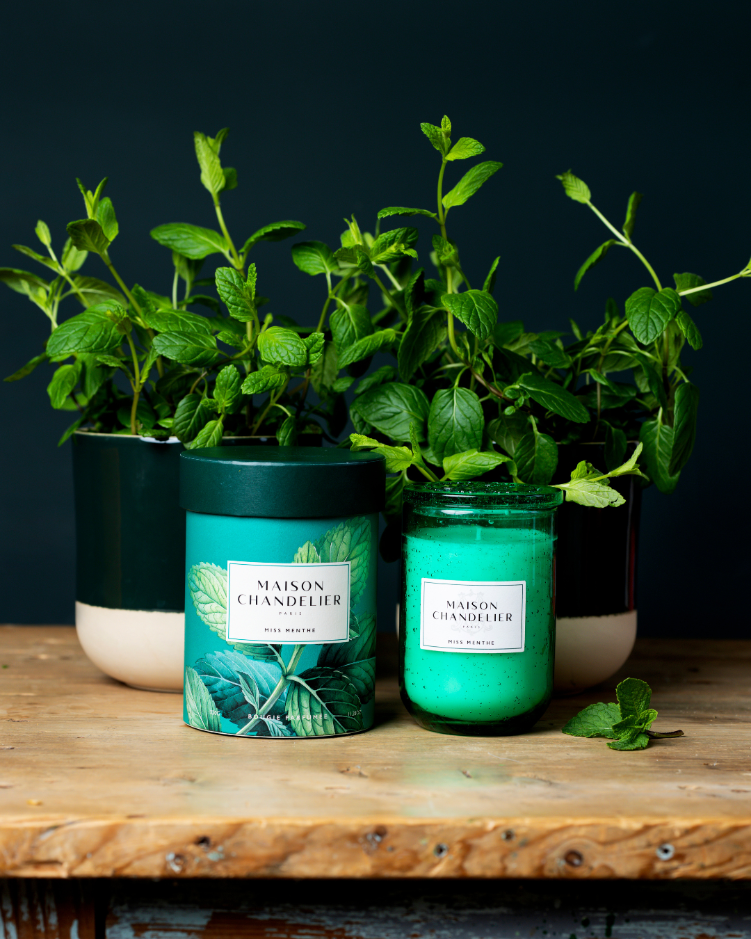Bougie parfumée Miss Menthe
